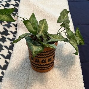 Decorative Hand Made Wicker Brown and Black Planter with Green Artificial Plant